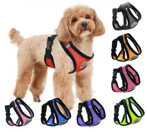 Arnés para perros