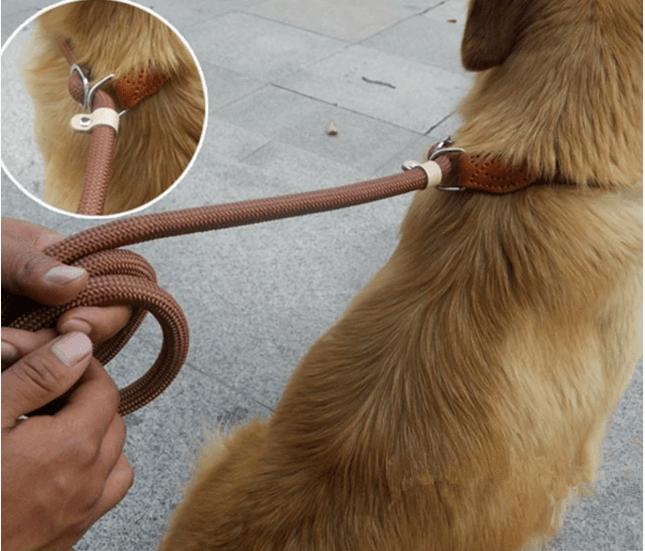Cable de amarre para perros