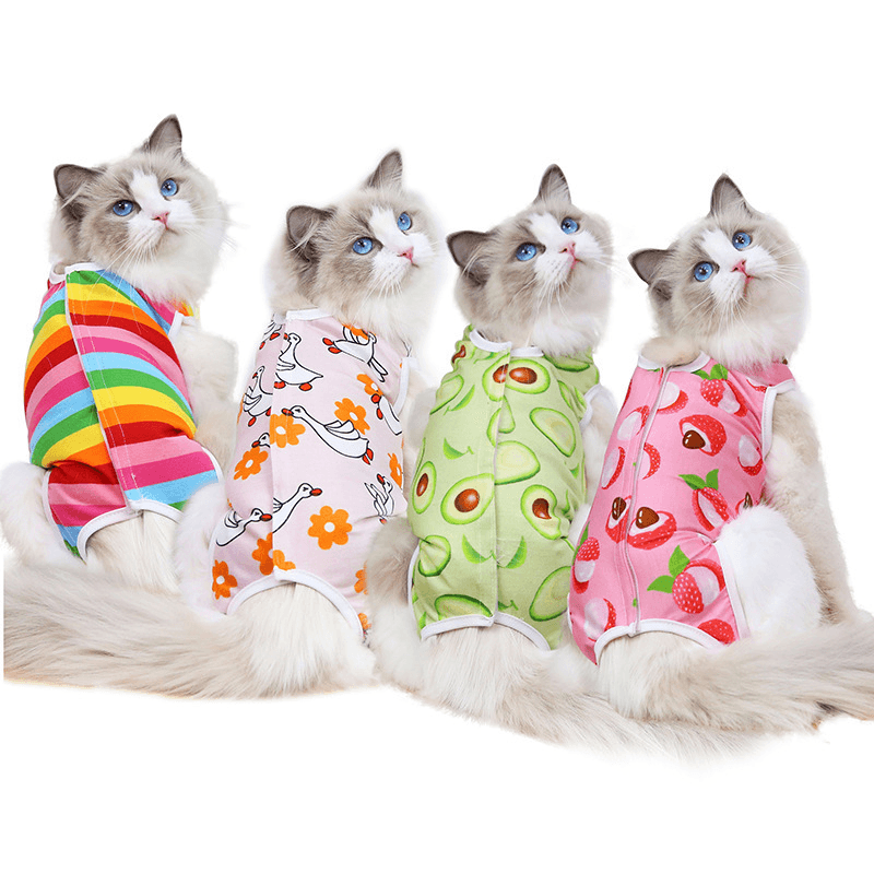 Camiseta linda para gatos