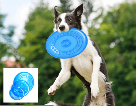 Frisbee para perro